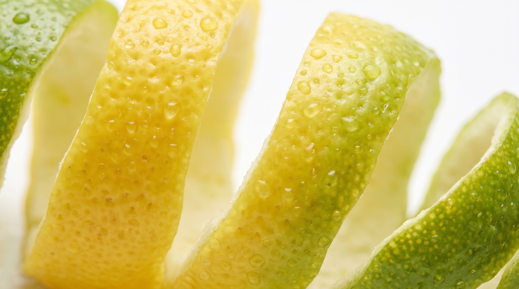 Primer plano de piel de limón y lima con las glándulas de aceite visibles y gotas de condensación